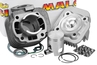Cylinder Kit Malossi Sport 50cc, CPI / Keeway, sworzeń 12mm